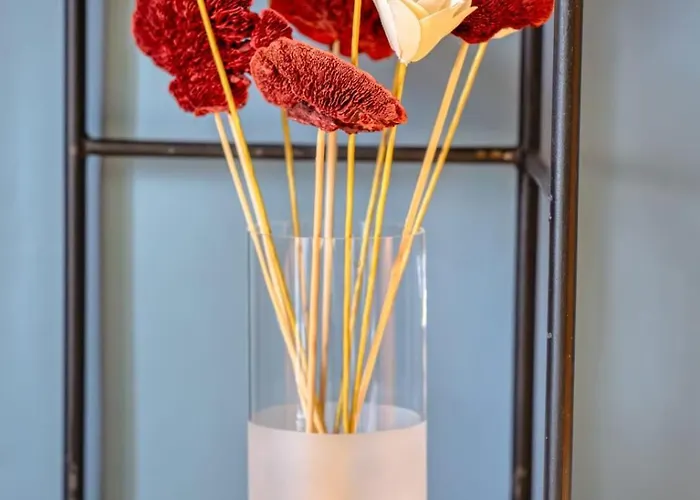 Le Benjamin F2 De 65m ! * Rouen